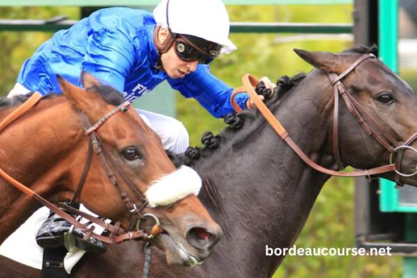 Jpgturf Vip Gratuit