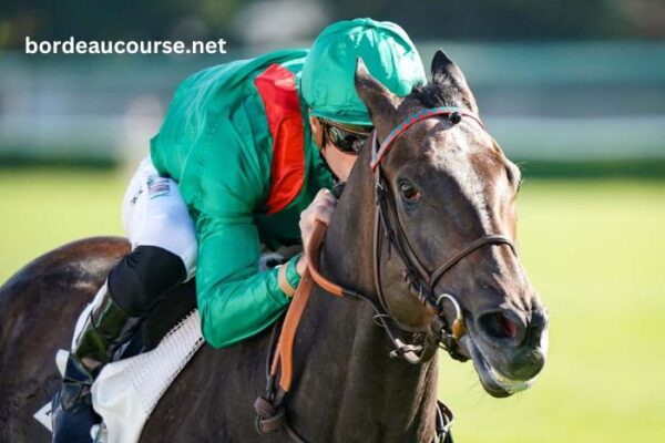 Le Gagnant Turf