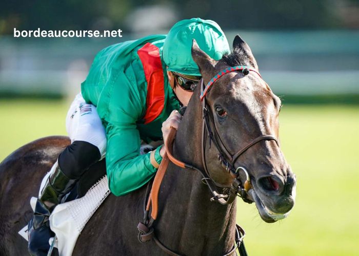 Le Gagnant Turf