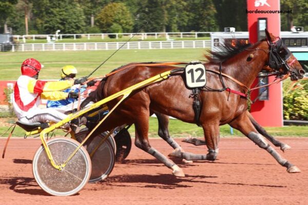 Pmub Arrive Du Jour