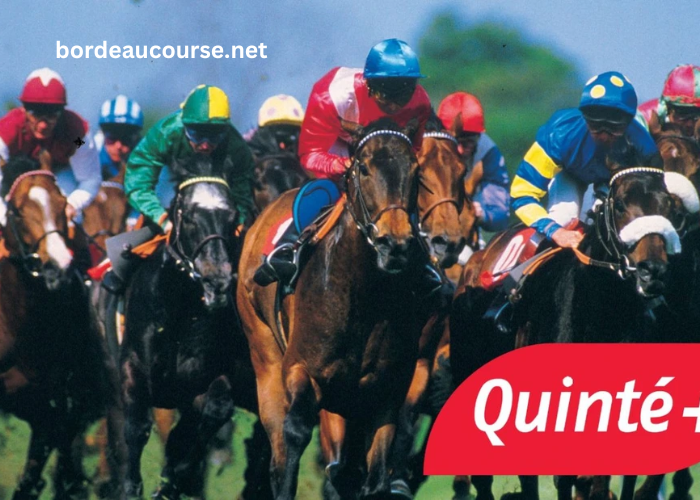 Résultat Pmu Du Jour