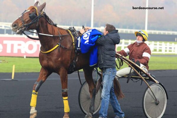 100pour100quinte Sur