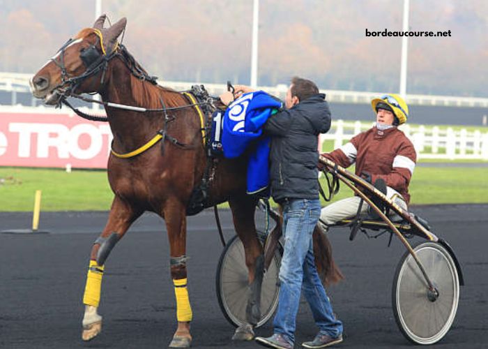 100pour100quinte Sur