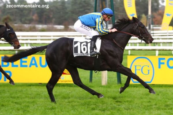 Center Gagnant Pmu (1)