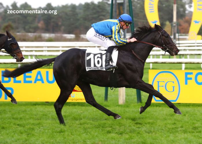 Center Gagnant Pmu (1)