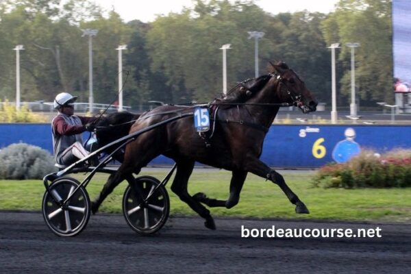 Coup Sur Du Jour (1)