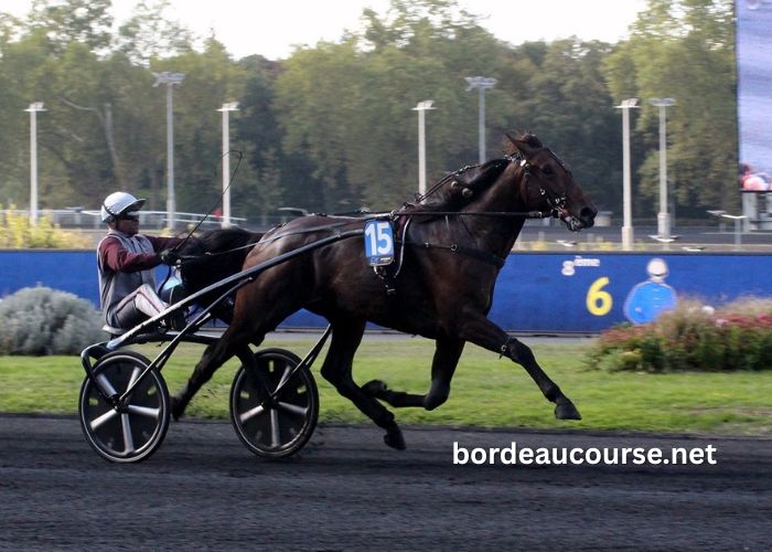 Coup Sur Du Jour (1)