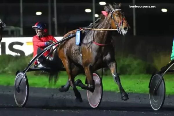 Meilleur Pronostic 3 Chevaux