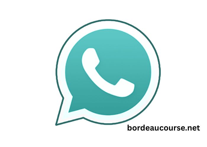 Mise À Jour Whatsapp Gb