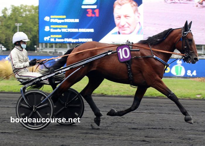 Tierce100pour100 Sur (3)