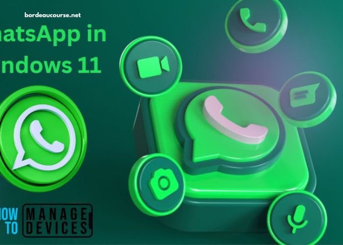 Whatsapp Pour Pc