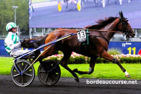 Cci Trio Gagnant (3)