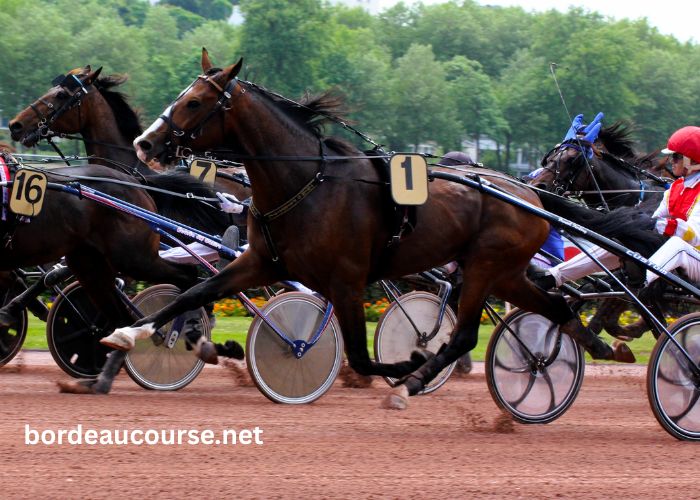 Les 4 Gagnants Vip (2)